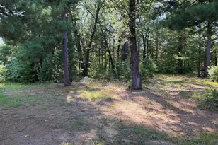1667 Oakwood Trl, Allegan, MI 49010 - Photo 41