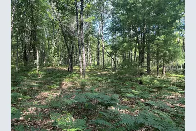 802 Beaver Road, Bitely, MI 49309 - Photo 5