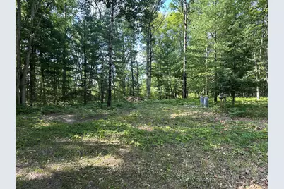 802 Beaver Road, Bitely, MI 49309 - Photo 3