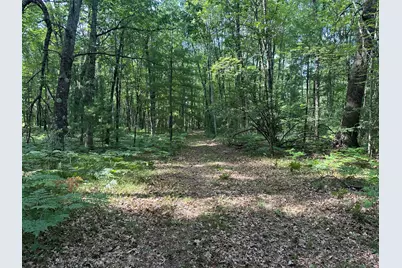 802 Beaver Road, Bitely, MI 49309 - Photo 11
