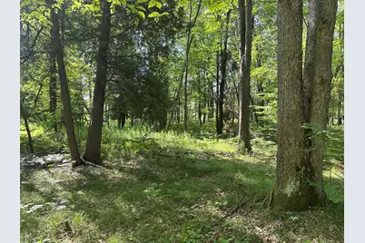 802 Beaver Road, Bitely, MI 49309 - Photo 7
