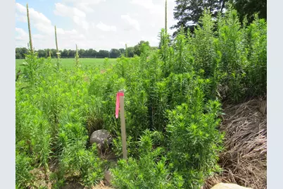 Farrand Road, Colon, MI 49040 - Photo 7