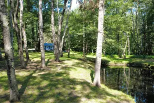 2867 E Hawley Rd, Custer, MI 49405 - Photo 53