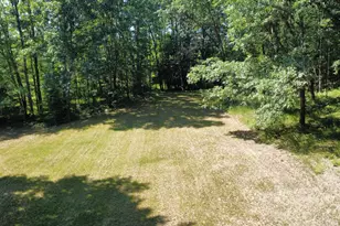 2867 E Hawley Rd, Custer, MI 49405 - Photo 43