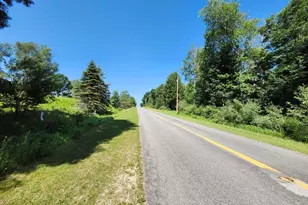 2867 E Hawley Rd, Custer, MI 49405 - Photo 57