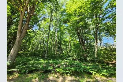 2867 E Hawley Road, Custer, MI 49405 - Photo 37