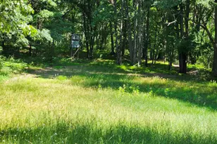 2867 E Hawley Rd, Custer, MI 49405 - Photo 33
