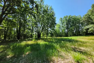 2867 E Hawley Rd, Custer, MI 49405 - Photo 35