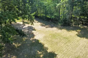 2867 E Hawley Rd, Custer, MI 49405 - Photo 49