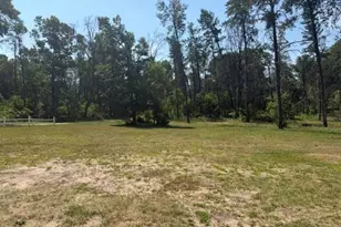 2045 S Hill Rd, Baldwin, MI 49304 - Photo 19