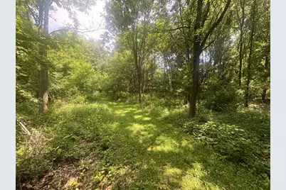 7705 Youngman Road, Greenville, MI 48838 - Photo 3