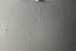 20821 N Pierson Ct, Detroit, MI 48228 - Photo 39