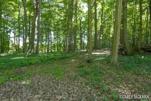 2111 Woodley Creek Ct NW, Comstock Park, MI 49321 - Photo 37
