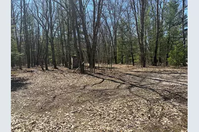 604 Beaver Road, Bitely, MI 49309 - Photo 97