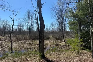 604 Beaver Rd, Bitely, MI 49309 - Photo 91