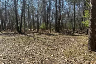 604 Beaver Rd, Bitely, MI 49309 - Photo 83
