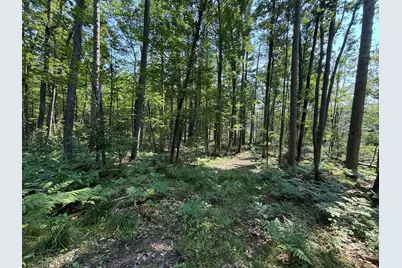 18910 Ellis Lane, Hillman, MI 49746 - Photo 45