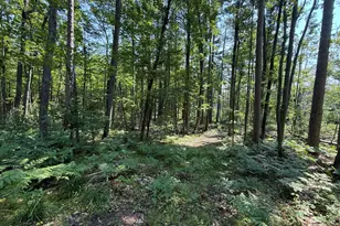 18910 Ellis Ln, Hillman, MI 49746 - Photo 45