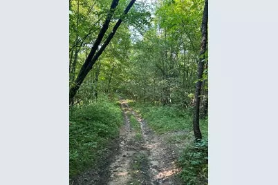 Maple Grove Road, Hastings, MI 49058 - Photo 31