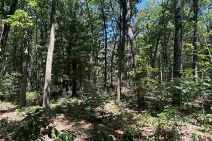 575 S Wolf Lake Rd, Muskegon, MI 49442 - Photo 39