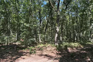 575 S Wolf Lake Rd, Muskegon, MI 49442 - Photo 41