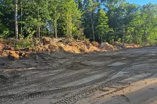 4333 MacDougall Dr, Allegan, MI 49010 - Photo 3