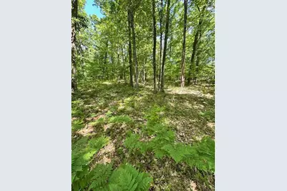 Par A 15 Mile Road, Big Rapids, MI 49307 - Photo 1
