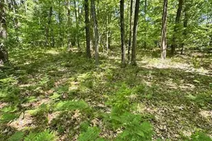 Par A 15 Mile Rd, Big Rapids, MI 49307 - Photo 1
