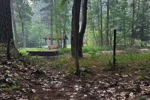 8047 W Peterson Rd, Irons, MI 49644 - Photo 25