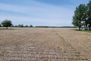 Bawden Rd, Bronson, MI 49028 - Photo 1