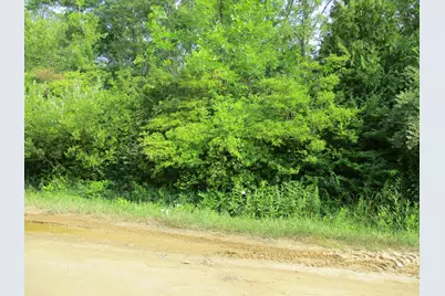 V/L Miami Avenue, South Haven, MI 49090 - Photo 3