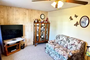111 S Hemlock St, Evart, MI 49631 - Photo 5
