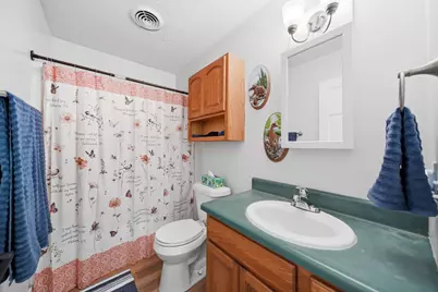 225 W Birch Street, Litchfield, MI 49252 - Photo 19
