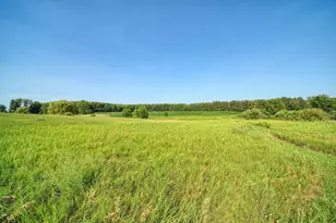 11329 Rosemary Ln, Munith, MI 49259 - Photo 63