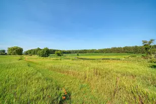 11329 Rosemary Ln, Munith, MI 49259 - Photo 65