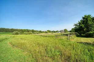 11329 Rosemary Ln, Munith, MI 49259 - Photo 61