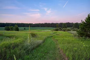 11329 Rosemary Ln, Munith, MI 49259 - Photo 77