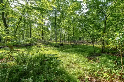 10905 E Shore Drive, Portage, MI 49002 - Photo 3