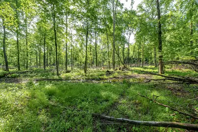 10905 E Shore Drive, Portage, MI 49002 - Photo 7