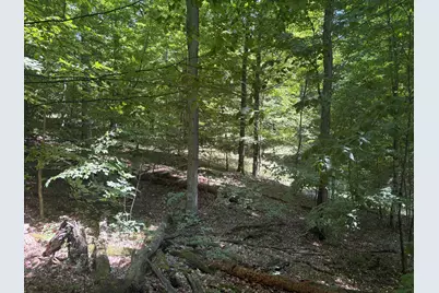3475 Grace Road, Frankfort, MI 49635 - Photo 19