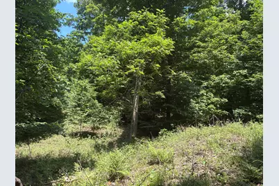 3475 Grace Road, Frankfort, MI 49635 - Photo 21