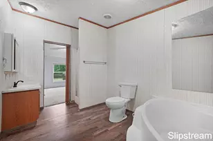 5705 E Riverside Dr, Lyons, MI 48851 - Photo 11