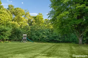 5705 E Riverside Dr, Lyons, MI 48851 - Photo 21