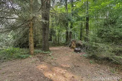 70354 16th Avenue, South Haven, MI 49090 - Photo 59