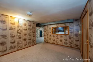 720 N King St, Ionia, MI 48846 - Photo 29