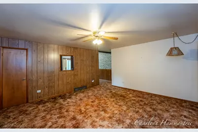 720 N King Street, Ionia, MI 48846 - Photo 13