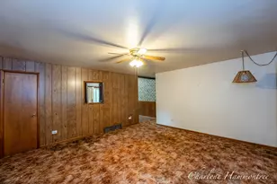 720 N King St, Ionia, MI 48846 - Photo 13