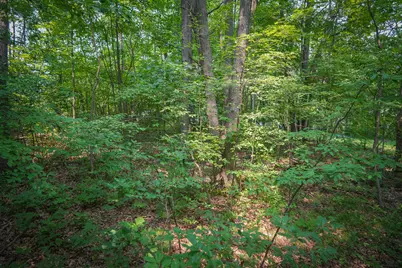 Colfax Park Road, Walkerville, MI 49459 - Photo 11