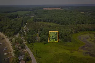 Colfax Park Rd, Walkerville, MI 49459 - Photo 1