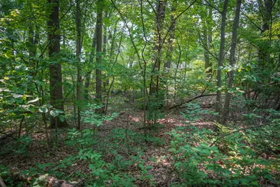 Colfax Park Road, Walkerville, MI 49459 - Photo 15